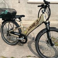 Bicicletta elettrica