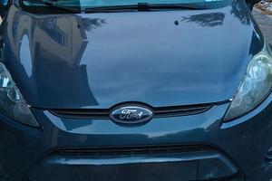 Ford Fiesta neopatentati