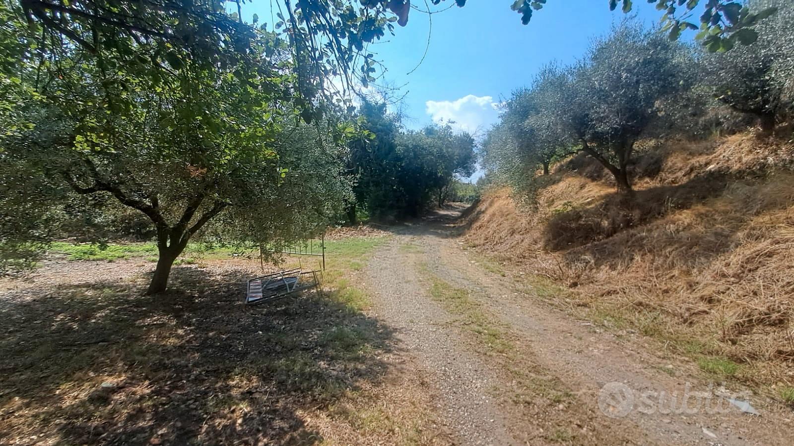 Terreno MARCO SIMONE guidonia - Vista 4