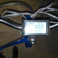 Bicicletta a tre ruote