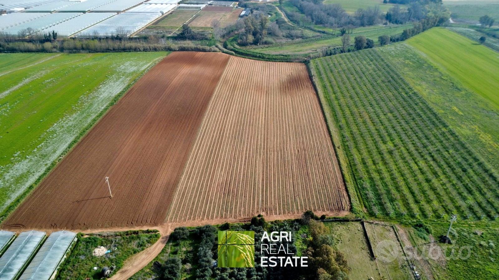 Terreno agricolo di 2,3 HA ideale per serre - Vista 2
