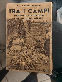 Blocco di libri epoca fascista