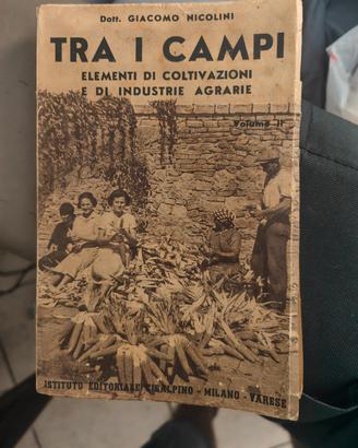 Blocco di libri epoca fascista