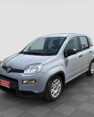 FIAT Panda Panda 1.0 FireFly Hybrid City Life