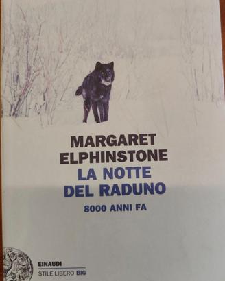 La notte del raduno - Margaret Elphinstone