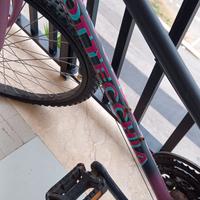 BICICLETTA MOUNTAIN-BIKE