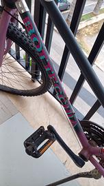 BICICLETTA MOUNTAIN-BIKE