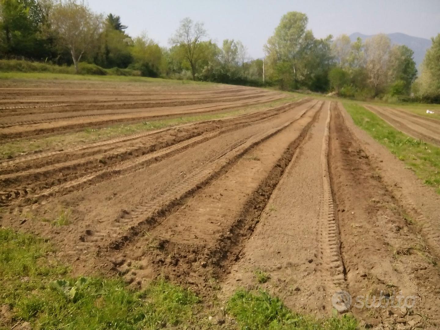 Terreno Agricolo 24.000 mq - Vista 4