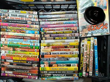 collezione dvd x Adulti