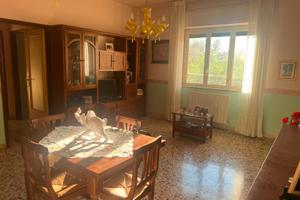 Bilocale viale Tica Palano