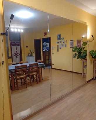Specchi da palestra 