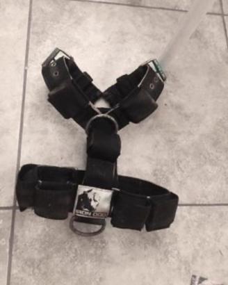 Pettorina con pesi IRON DOG