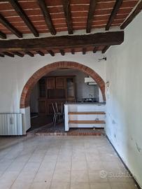 TT290 - Ossaia terratetto in pietra con an