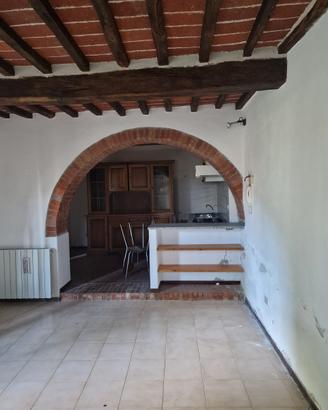 TT290 - Ossaia terratetto in pietra con an