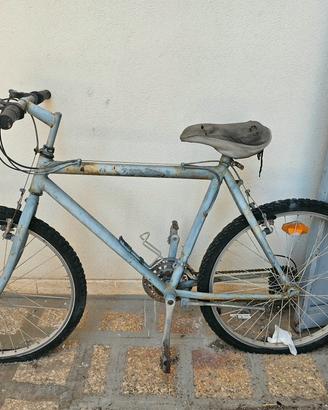 Bicicletta