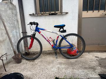 Bicicletta