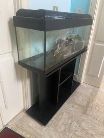 Acquario + Mobile