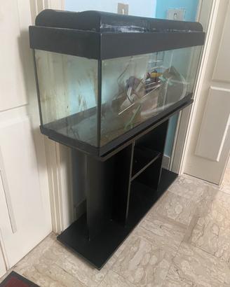 Acquario + Mobile