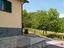 Immagine 7