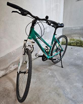 Bici trekking 