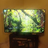 PANASONIC TV 55" con schermo OLED