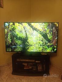 PANASONIC TV 55" con schermo OLED