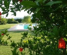 Capalbio.Camere in Country House, con piscina