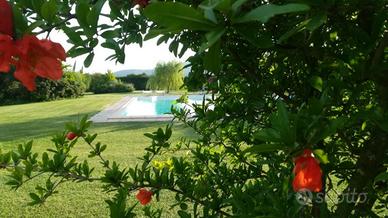 Capalbio.Camere in Country House, con piscina