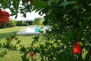 Capalbio.Camere in Country House, con piscina