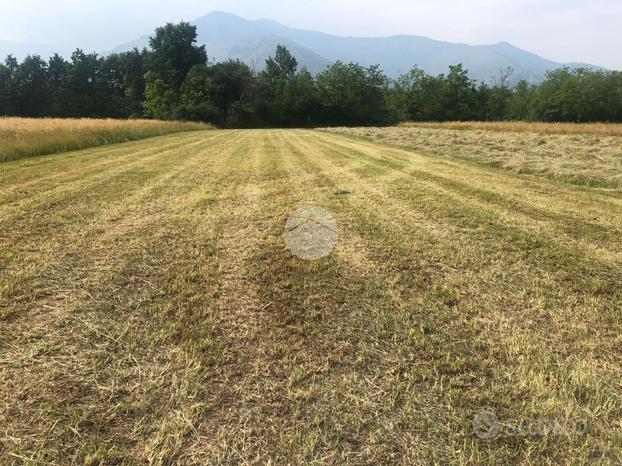 TER. AGRICOLO A VAL DELLA TORRE