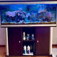 Acquario Aquatlantis