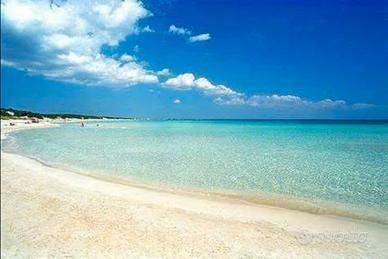 Le belle spiagge di Pescoluse monolocale