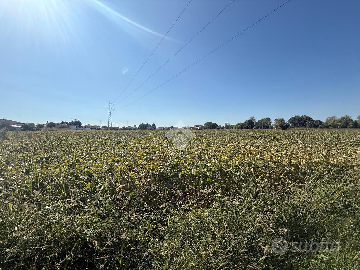 TER. AGRICOLO A BORGORICCO - Altro