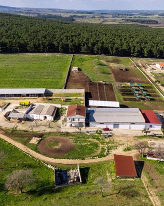 Masseria - Corato