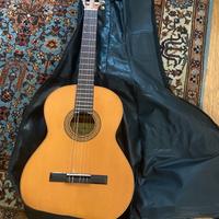 Chitarra Raimundo mod. 106