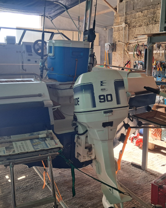 Pilotina con due motori e carrello