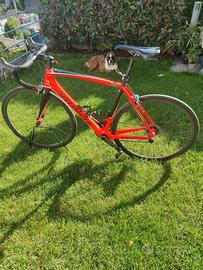 Specialized tarmac sl 5