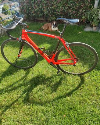 Specialized tarmac sl 5