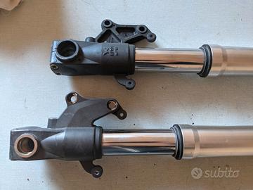 coppia steli forcelle anteriori cagiva raptor 1000