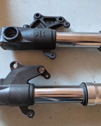 coppia steli forcelle anteriori cagiva raptor 1000