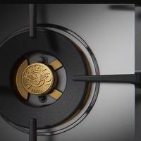 PIANO COTTURA BERTAZZONI.