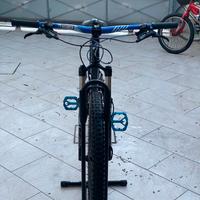 bici specialized enduro