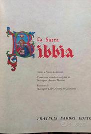 la sacra Bibbia illustrata