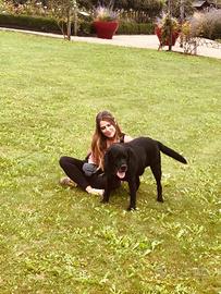 Pet Sitter per coda felice proprietario sereno