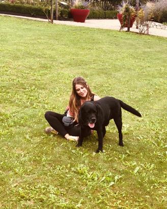 Pet Sitter per coda felice proprietario sereno