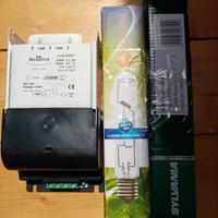 lampada coltivazione 300w