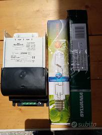 lampada coltivazione 300w