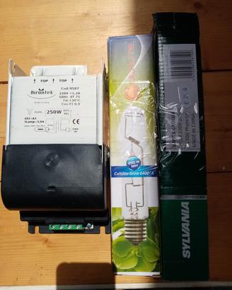 lampada coltivazione 300w