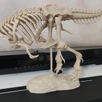 stampa 3d T-Rex Stupendo