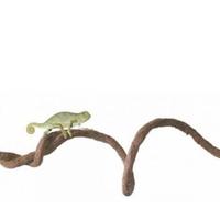 Liana terrario rettili